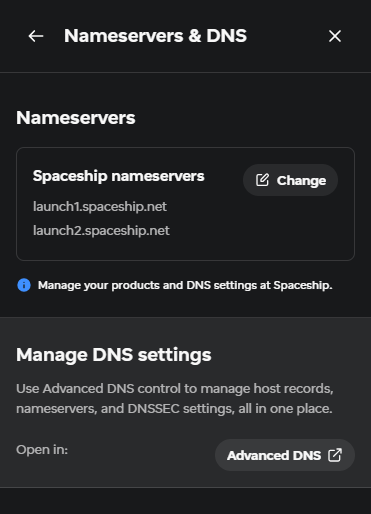 Open Spaceship nameserver and DNS settings
